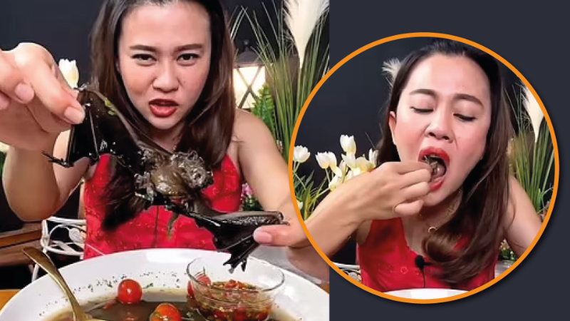 Una youtubera tailandesa podría pasar 5 años en la cárcel por grabarse comiendo murciélagos.