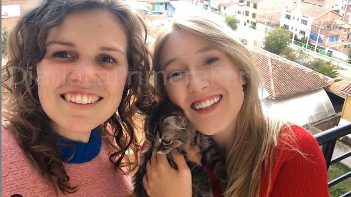 Lee, Un Gato Que Fue Adoptado En Cusco Podría Recibir Eutanasia En Bélgica